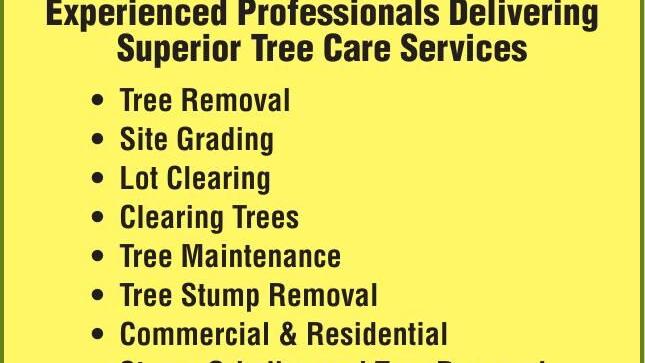PIEDMONT TREE SERVICES